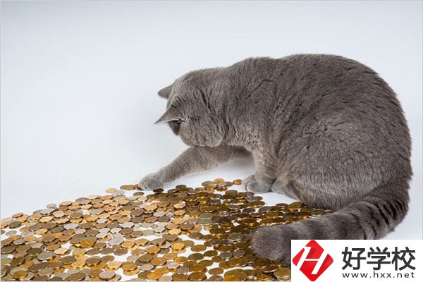邵陽的職高一年學(xué)費(fèi)是多少？比較便宜的學(xué)校有哪些？