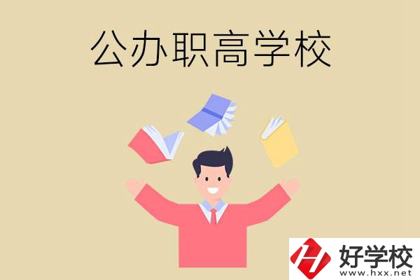 婁底公辦的職高學(xué)校有幾所？