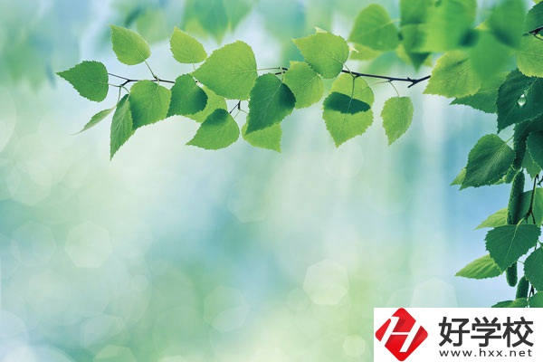 永州工商職業(yè)中等專業(yè)學校哪些是特色專業(yè)？好就業(yè)嗎？