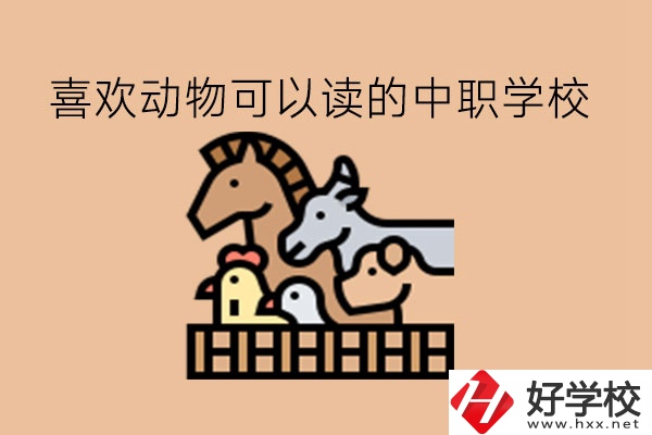 喜歡動物的學(xué)生，可以讀這些中職學(xué)校!