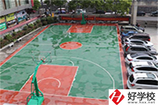 龍山縣技工學(xué)?；@球場