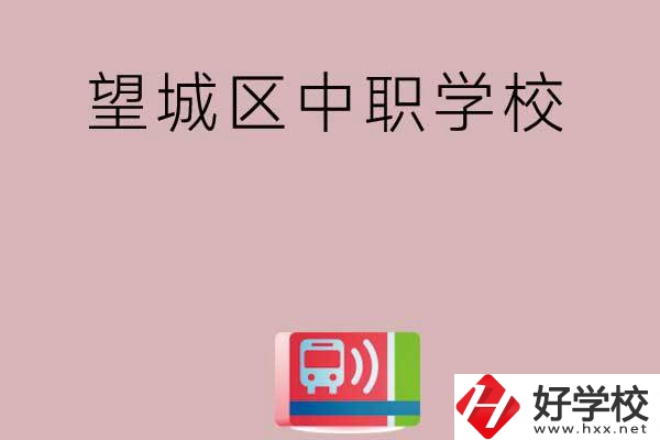 長沙望城區(qū)有哪些中職學(xué)校？