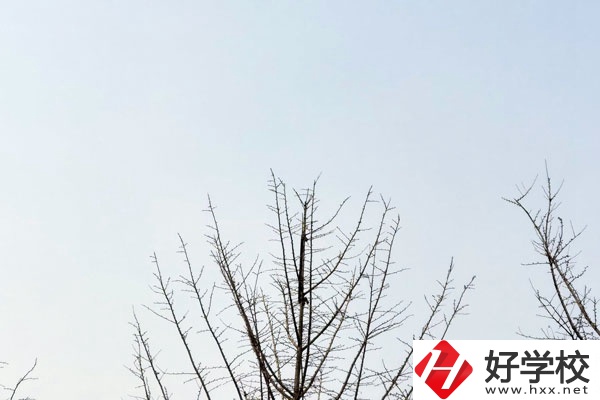 益陽第一職業(yè)中專學(xué)校怎么樣？值得報(bào)考嗎?
