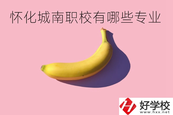 懷化城南職業(yè)學(xué)校有哪些專業(yè)？學(xué)校好不好？