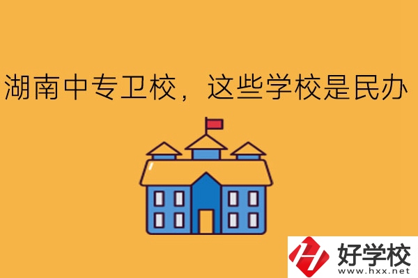 湖南中專衛(wèi)校，這些學(xué)校是民辦!