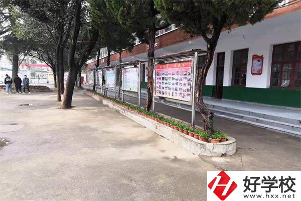 岳陽有沒有升學(xué)率高的民辦職高？職高能升學(xué)是真的嗎？