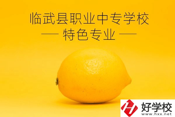 臨武縣職業(yè)中專學(xué)校好嗎？有哪些特色專業(yè)？