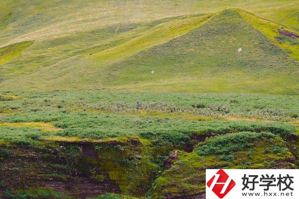 湖南衡南職業(yè)中等專業(yè)學校好嗎？學校有什么優(yōu)勢？