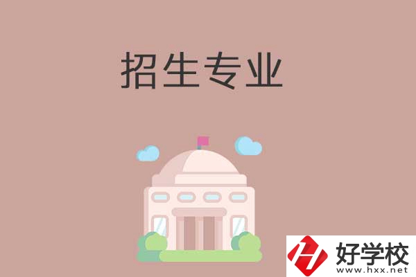 益陽有哪些高職院校設(shè)立了中職部？招生專業(yè)有哪些？