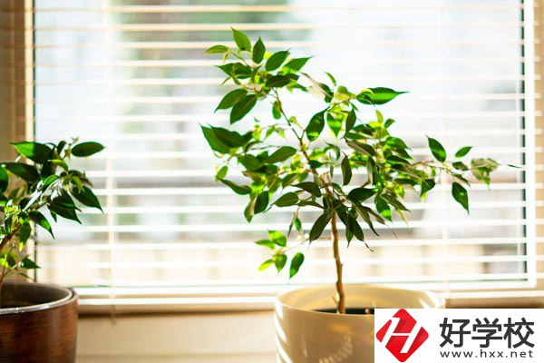 湖南省商業(yè)技師學院有哪些教學特色？報考有何要求？