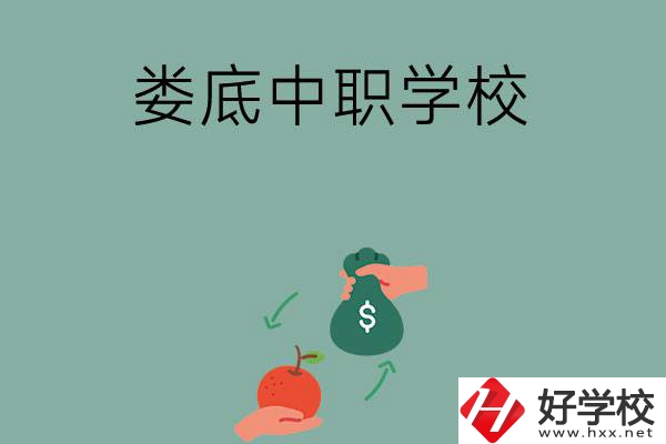 婁底市有哪些中職學(xué)校？排名前五的是哪幾所？