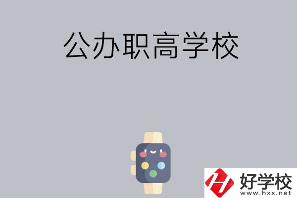 長(zhǎng)沙哪些公辦職高學(xué)校比較有特色？