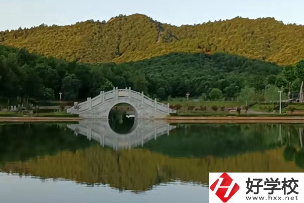 想在新寧縣讀中專學(xué)校？推薦這兩所