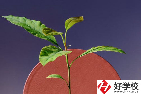 株洲市工業(yè)中等專校怎么樣？好不好？