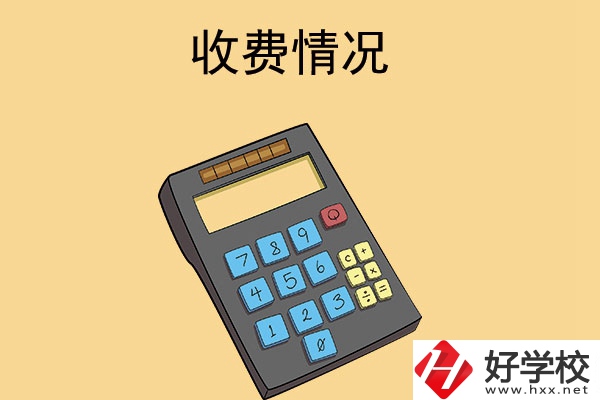 長(zhǎng)沙的中專(zhuān)學(xué)校收費(fèi)情況怎么樣？