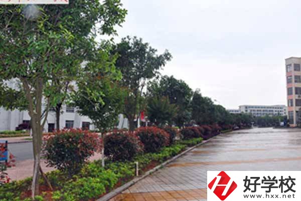 長沙市電子工業(yè)學(xué)校開設(shè)了哪些專業(yè)，附招生要求？