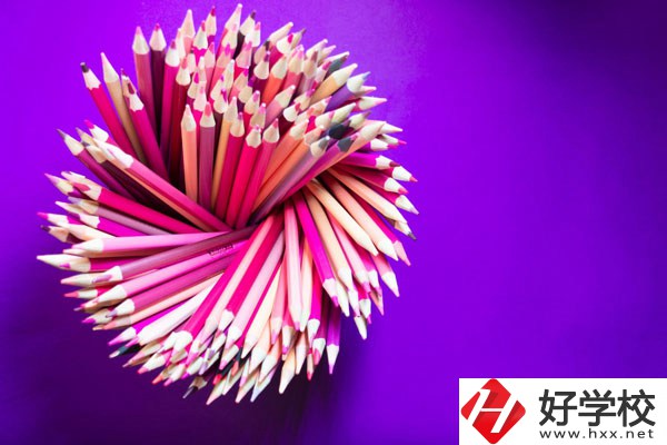 在懷化有什么職校可以學(xué)習(xí)幼師？好不好？
