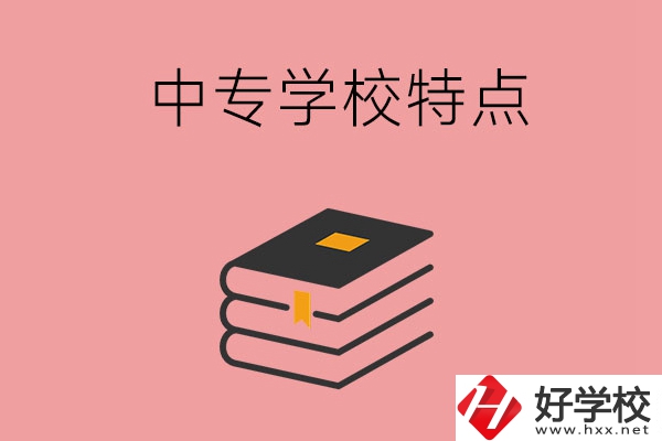 湖南省正規(guī)的中專(zhuān)學(xué)校，具備哪些特點(diǎn)？