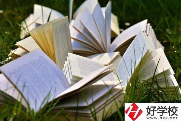 中方縣職業(yè)中等專業(yè)學校有什么專業(yè)？好不好？