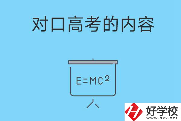 湖南職高對(duì)口高考主要考什么內(nèi)容？難度大不大？