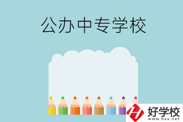 湖南地區(qū)有哪些公辦的中專學(xué)?？梢酝扑]呢？