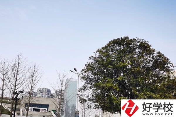 益陽科技工程學(xué)校有哪些專業(yè)？就業(yè)如何？