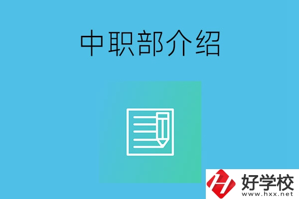 湘潭院校中職部介紹，這幾所學(xué)校你知道嗎？