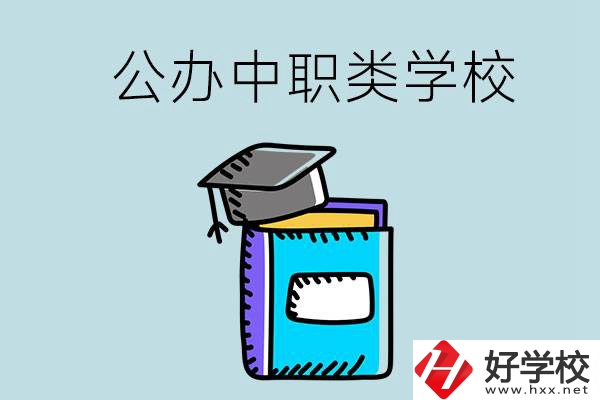 湘西的公辦中職類學(xué)校一共有多少所？