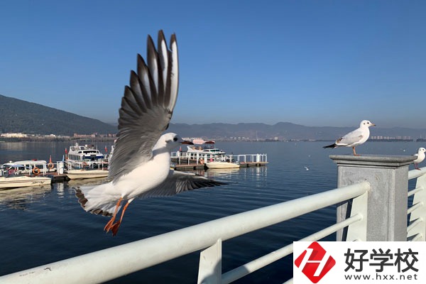 準(zhǔn)備讀中專，衡陽縣職業(yè)中專好不好？