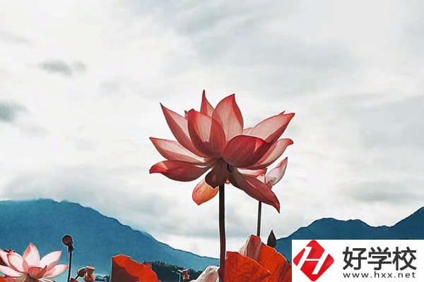 隆回華星職業(yè)技術(shù)學(xué)校有哪些專業(yè)？值得學(xué)生報(bào)考么？