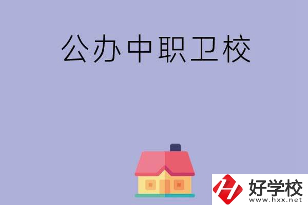 湖南公辦中職衛(wèi)校有哪些？這2所值得關(guān)注！