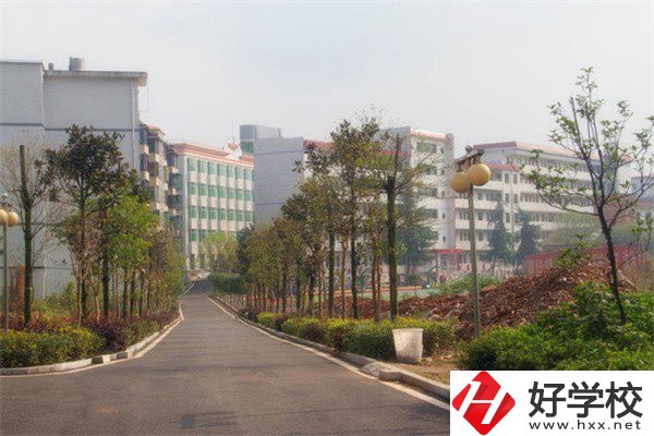 益陽(yáng)有哪些高級(jí)技校？學(xué)校有什么亮點(diǎn)？