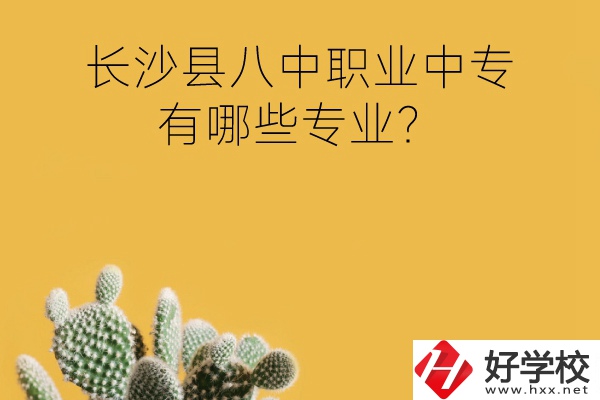 長(zhǎng)沙縣八中職業(yè)中專好不好？有哪些專業(yè)？
