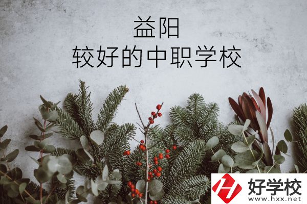 益陽有哪些中職學(xué)校比較好？
