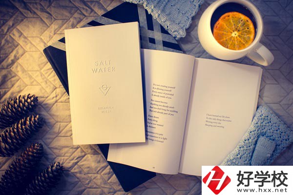 婁底技師學(xué)院有哪些專業(yè)？好就業(yè)嗎？