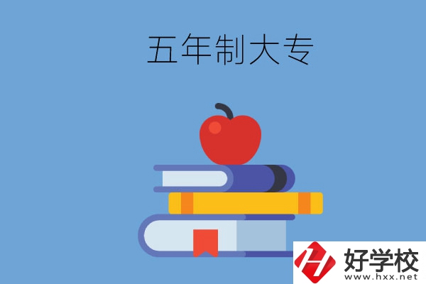 長沙開設(shè)教育類專業(yè)的五年制大專有哪些？