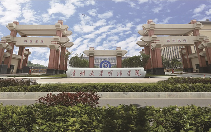 2024年云南三鑫職業(yè)技術(shù)學(xué)院有哪些專業(yè)