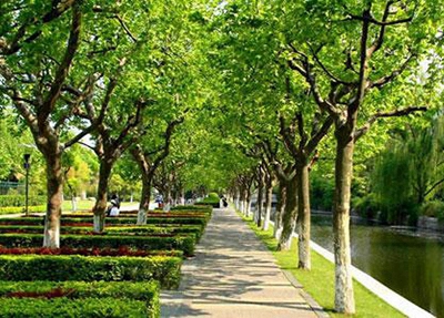 大名職教中心2024年學費多少？貴嗎？