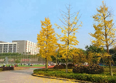 楚雄農(nóng)業(yè)學(xué)校2024年報名學(xué)費多少錢