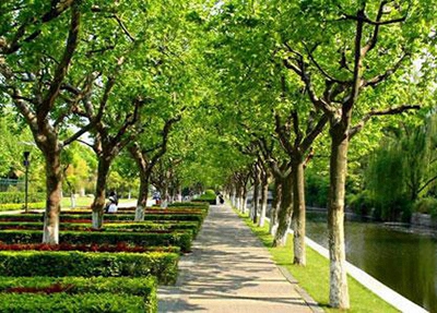 岳陽市春雷學(xué)校2024年學(xué)費多少錢一年