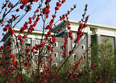 樅陽縣職業(yè)技術(shù)學(xué)校2024年學(xué)費多少？貴嗎？