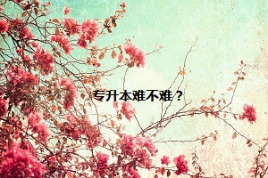 專升本難不難？