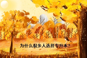 為什么很多人選擇專升本？