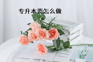 專升本要怎么做
