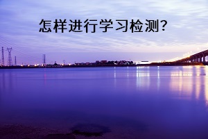 怎樣進(jìn)行學(xué)習(xí)檢測(cè)？