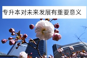專升本對(duì)未來(lái)發(fā)展的影響