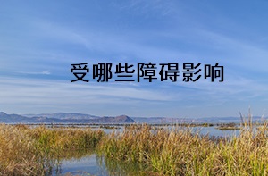 受哪些障礙影響