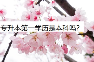 專升本第一學(xué)歷是本科嗎？