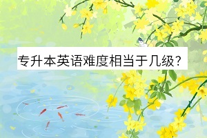 專升本英語(yǔ)難度有多大相當(dāng)于幾級(jí)