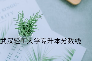 武漢輕工大學(xué)專(zhuān)升本分?jǐn)?shù)線(xiàn)